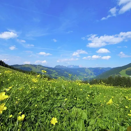Traumlage Saalbach-Hinterglemm